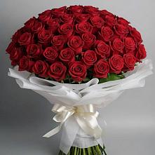 Букет 101 Красная роза Блэк Мэджик в Хвастовичах