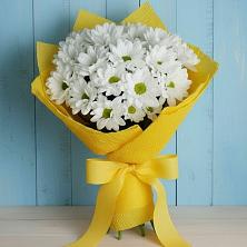 Букет цветов из:  Хризантемы в Хвастовичах