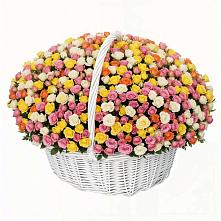 Премиум букет из: Розы в Хвастовичах