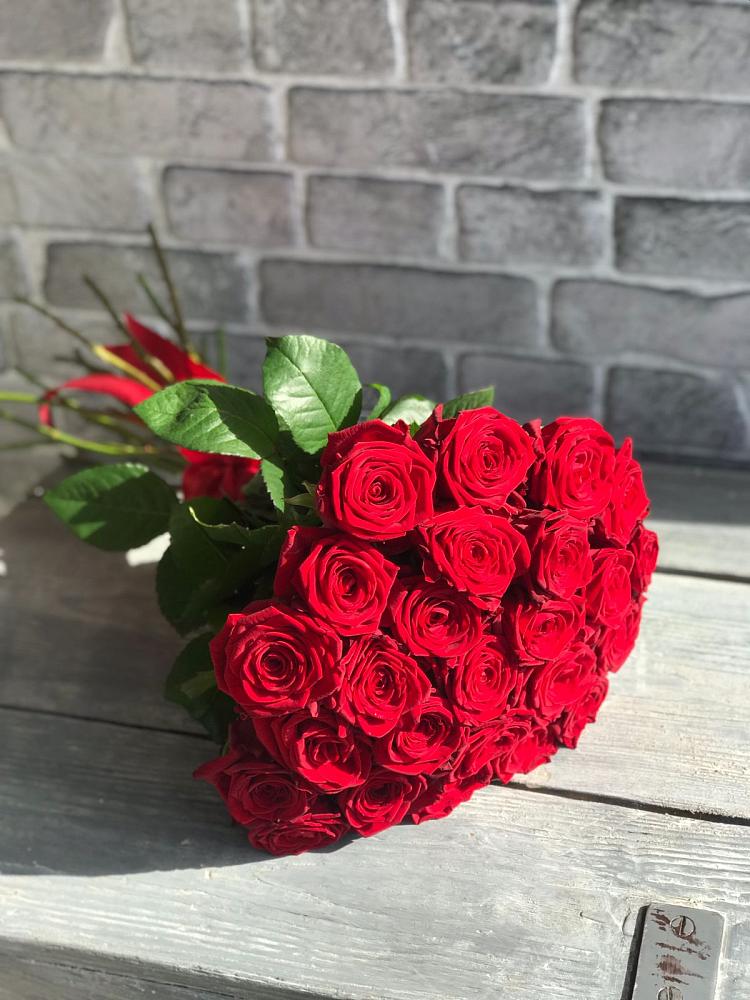 Букет Красные розы Фридом в Хвастовичах