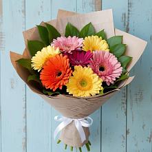 Букет цветов из:  Герберы #REPLACE_PRED# Хвастовичах
