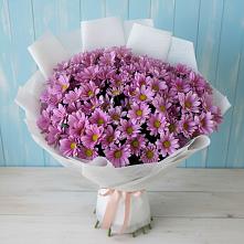 Букет цветов из:  Хризантемы в Хвастовичах