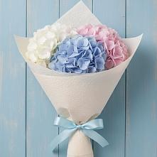 Букет цветов из:  Гортензия в Хвастовичах