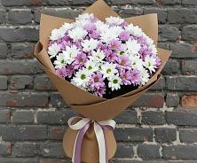 Букет цветов из:  Хризантемы в Хвастовичах