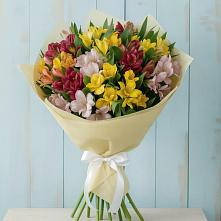 Букет цветов из:  Альстромерии в Хвастовичах