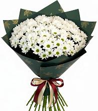 Букет цветов из:  Хризантемы в Хвастовичах