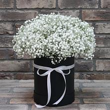 Цветочная композиция из Гипсофила в шляпной коробке в Хвастовичах