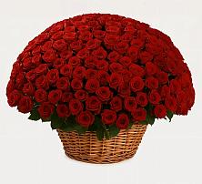 Премиум букет из: Розы в Хвастовичах