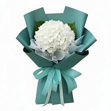 Букет цветов из:  Гортензия в Хвастовичах